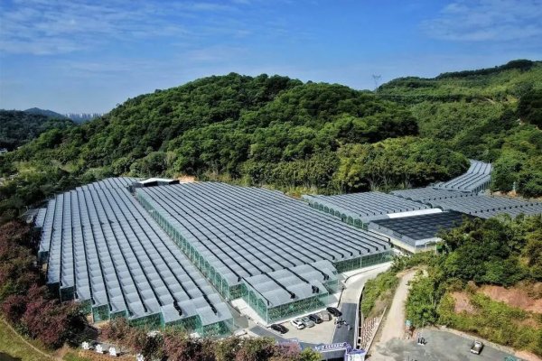 天织股票配资 新乡村示范带大党委统筹推进，重点项目“进度条”再刷新！